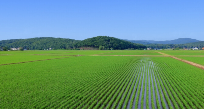 株式会社オキ image 3